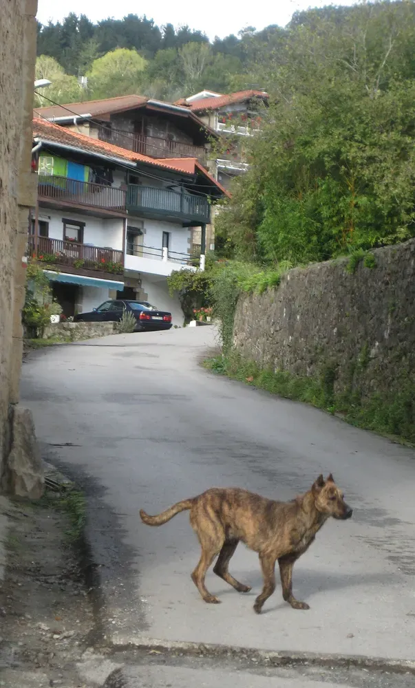 Villano de Las Encartaciones: foto 3