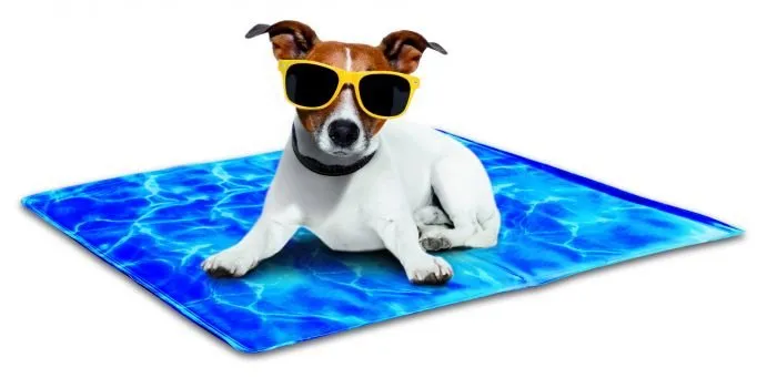 cama refrescante perros