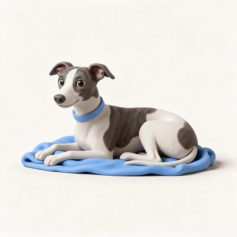 Whippet: su carácter (ilustración)