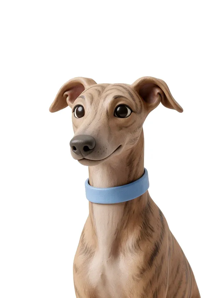 Galgo