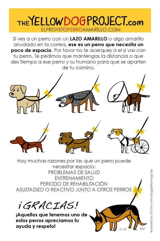 Perro paseando con un lazo amarillo atado a la correa como señal de aviso