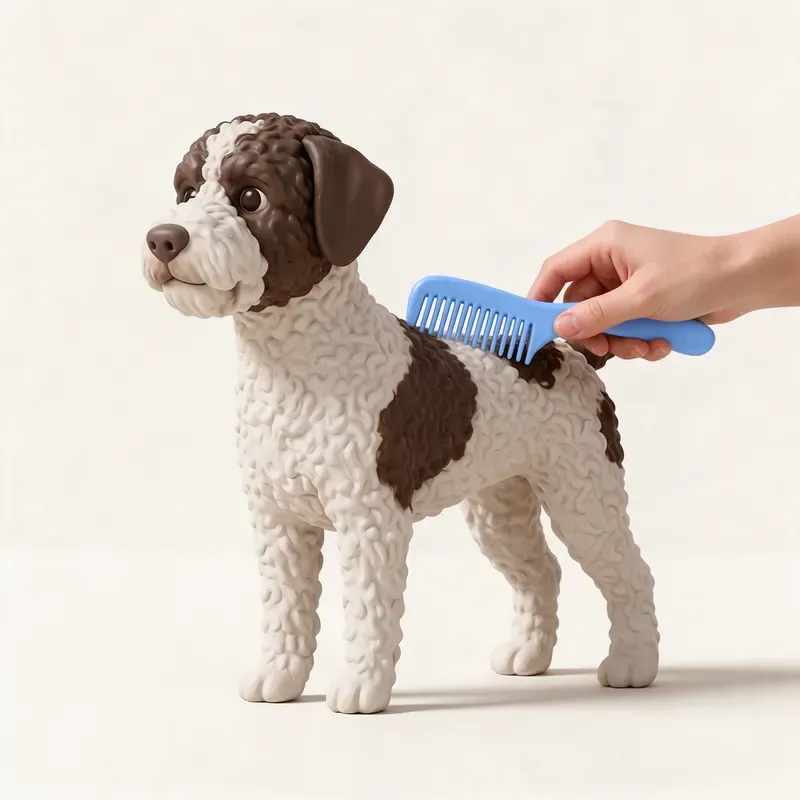 Lagotto romagnolo: cuidado de su pelo (ilustración)