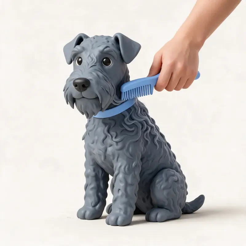 Kerry blue terrier: cuidado de su pelo (ilustración)