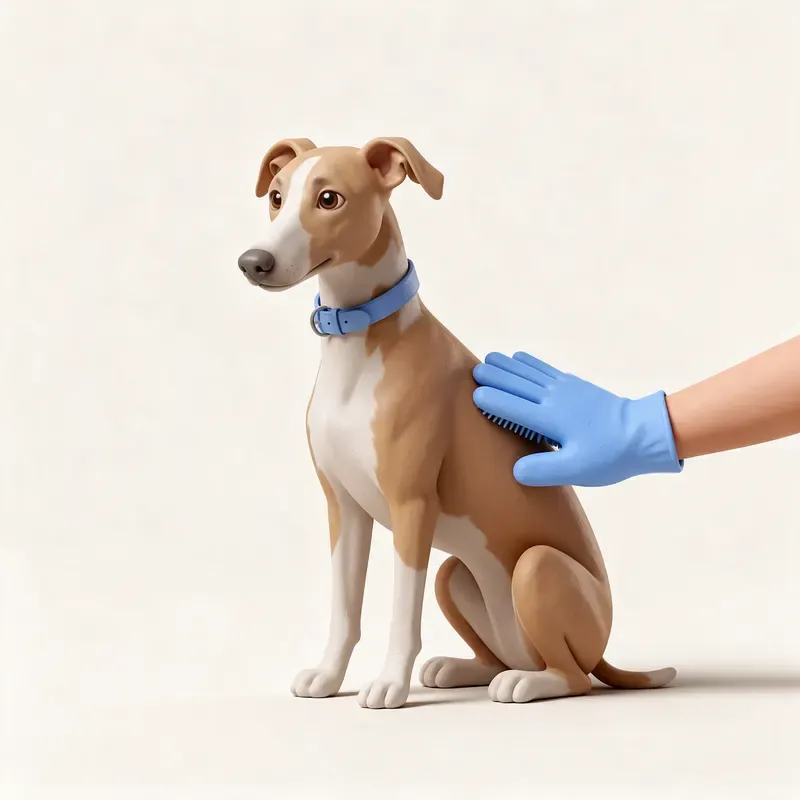 Galgo inglés (Greyhound): cuidado de su pelo (ilustración)
