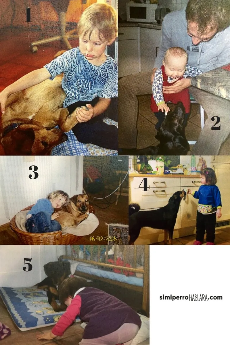 Cinco fotos de niños interactuando con perros: niño sujetando las patas de un perro tumbado boca arriba, bebé sostenido sobre la cara de un perro, niño recostado sobre un perro en su cama, niño ofreciendo yogur a un perro y bebé gateando hacia un perro que descansa en un rincón