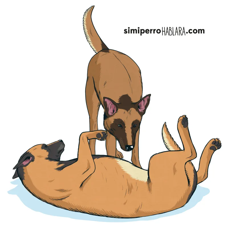 Sumisión en perros